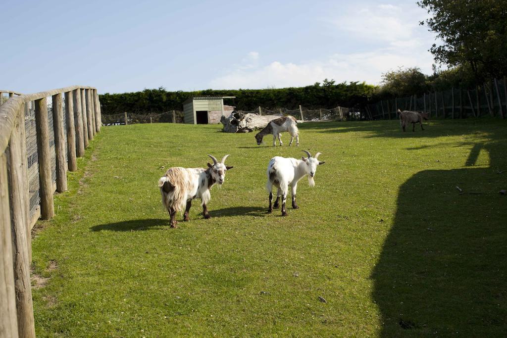 Wooda Farm Holidays Bude Exterior photo